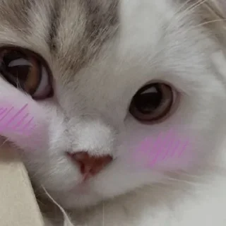 😊