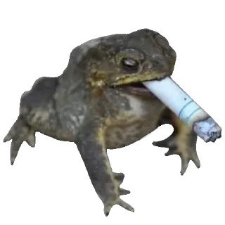 🐸