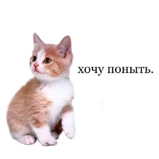 😭