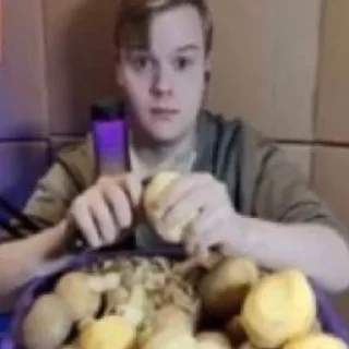 🐷