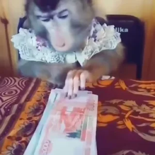 💴