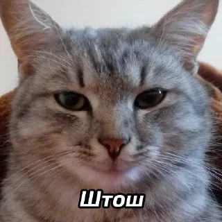 😆
