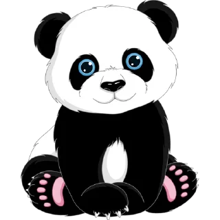 🐼