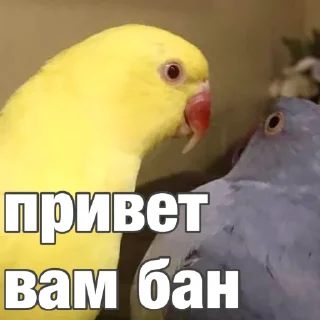 👋