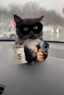 💰