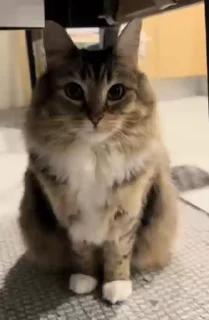 😮