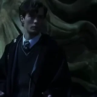 🐍