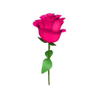🌹