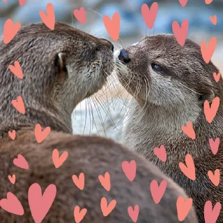 ❤️