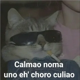 😎