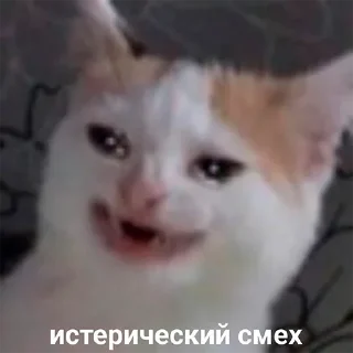😂
