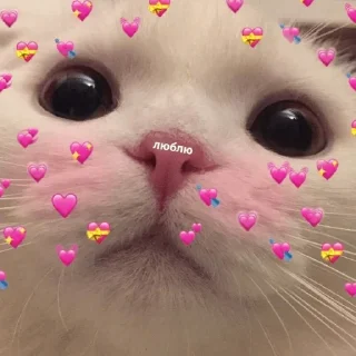 😍