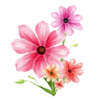 🌸