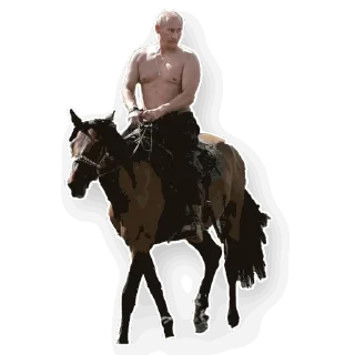 🐴