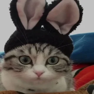 😮