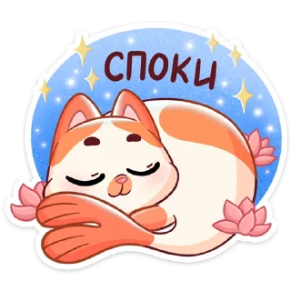 😴