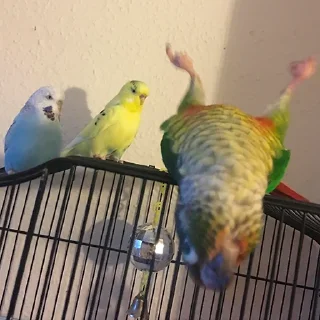 🙃