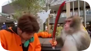 🤬