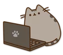 💻