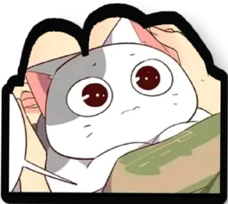 🐈