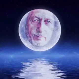 🌚