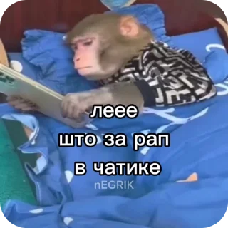 🌟