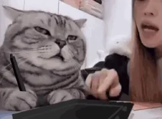 🐈‍⬛