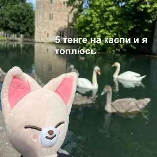 🤩