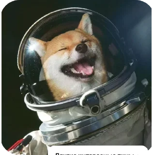 🖼