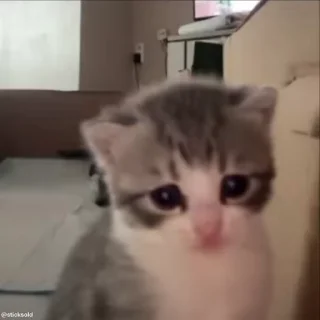 😵‍💫