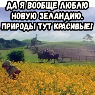 👍
