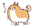 🐶