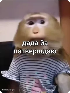 ✅