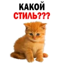 😂