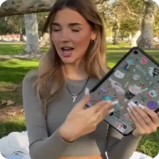 🐢