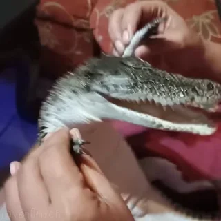 😂