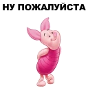 🐷