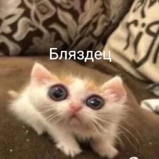 😳
