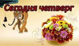 🐅