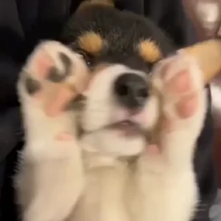 🤪