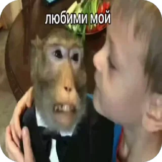 🌟