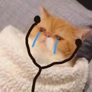😭