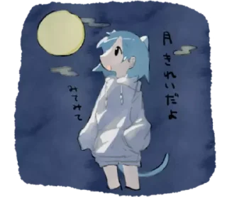 🌚