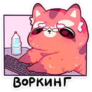 💻