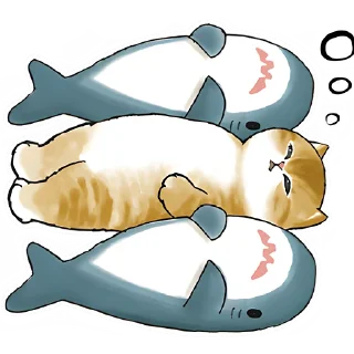 😴
