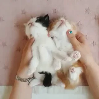 ❤️