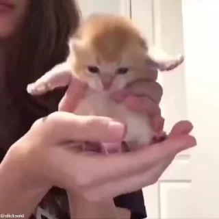 😍