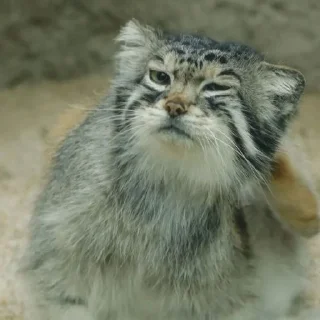 😉