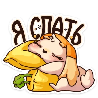 😴