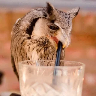 🥤